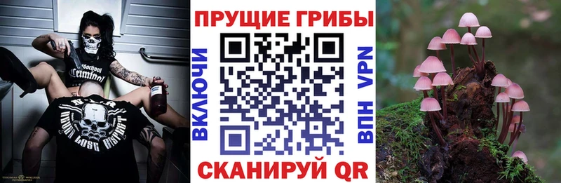Псилоцибиновые грибы MAGIC MUSHROOMS  Клинцы 